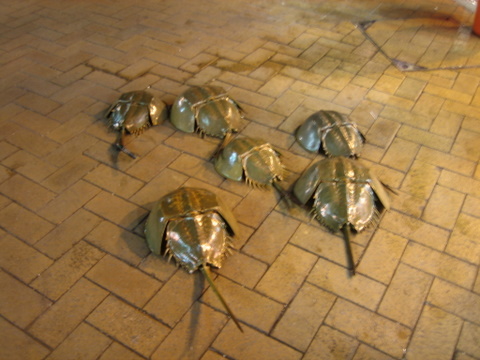 e0018143_17473420.jpg