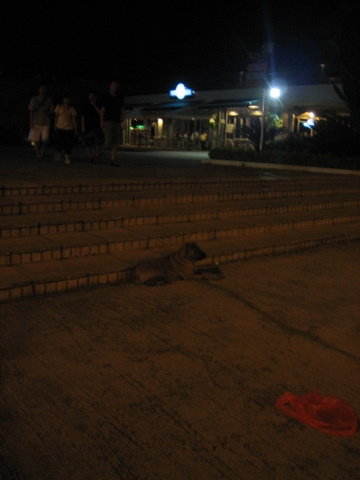 e0018143_18113190.jpg