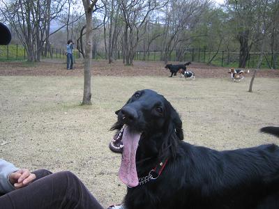 f0107145_22335724.jpg