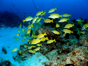 d0065247_23302419.jpg