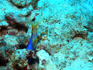d0065247_23321940.jpg