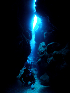 d0065247_2333259.jpg