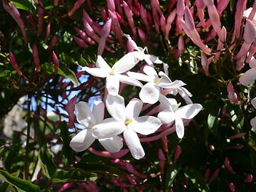 c0069048_23265671.jpg