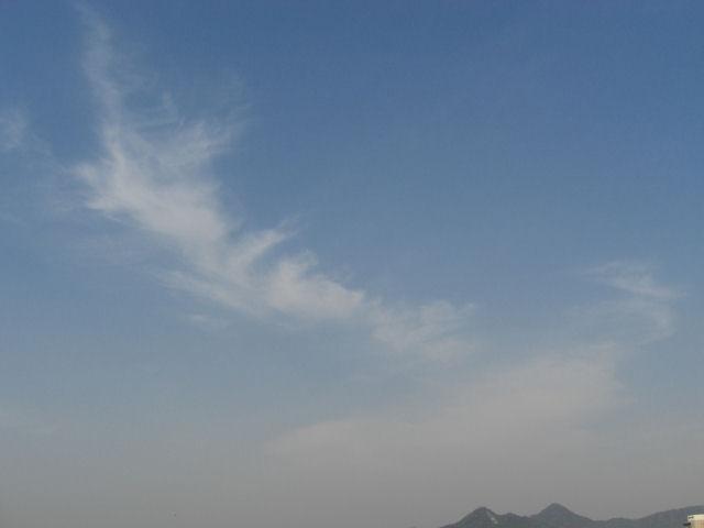 a0031454_2222047.jpg