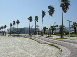 e0088654_412936.jpg