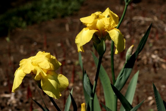 f0044056_13204936.jpg
