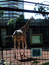 f0108557_17222898.jpg