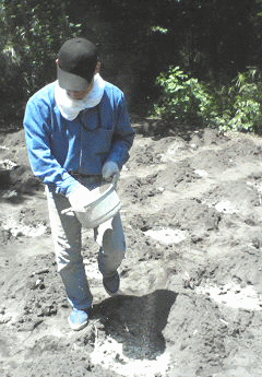 d0098363_1040445.gif