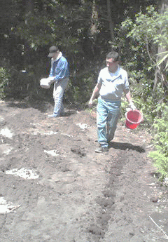 d0098363_1040553.gif