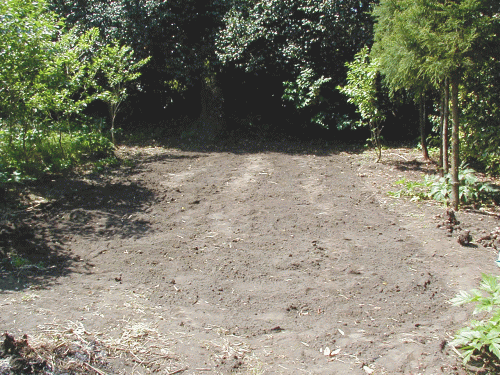 d0098363_11113089.gif