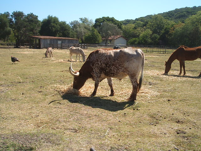 c0115366_6102577.jpg