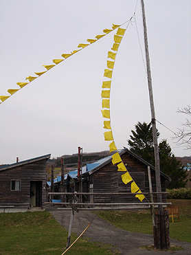 c0048467_21502884.jpg