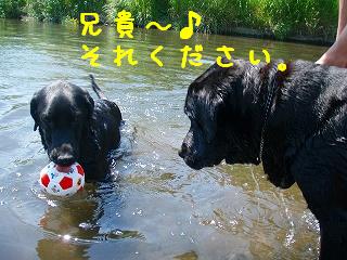 b0003270_2142213.jpg