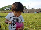 f0123373_8563165.jpg