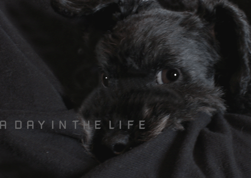 f0138376_1523682.gif