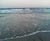 c0066080_1121348.jpg