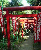 c0066080_122841.jpg