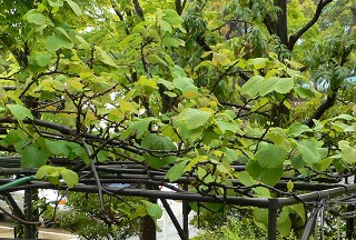 b0042882_23561433.jpg