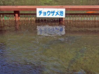 e0061584_16202838.jpg