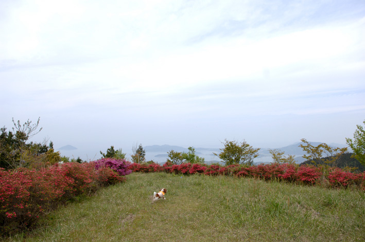f0112087_1782961.jpg