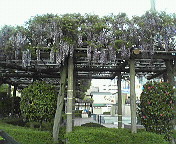 e0017290_21112190.jpg