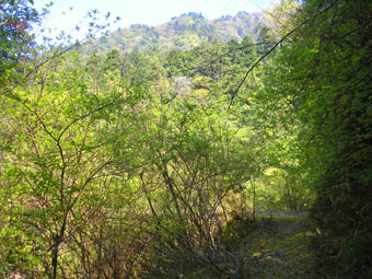 e0083097_2305034.jpg