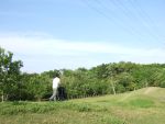 d0003999_0155391.jpg
