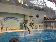 c0004211_1842877.jpg