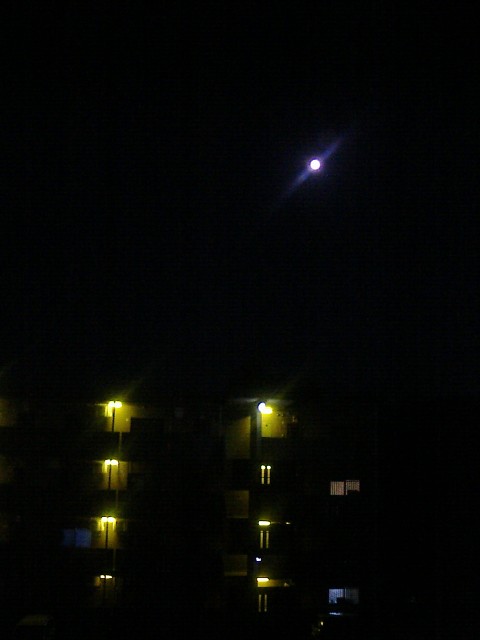 e0099212_21562666.jpg
