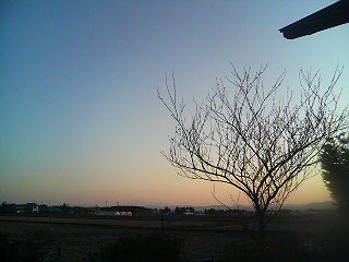 f0103612_0414737.jpg