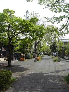 b0077117_9321599.jpg