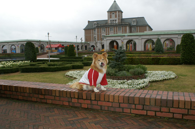 c0030624_8123041.jpg