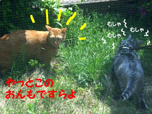 d0081025_1920620.jpg