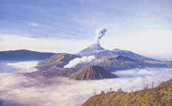 b0090333_2362854.jpg