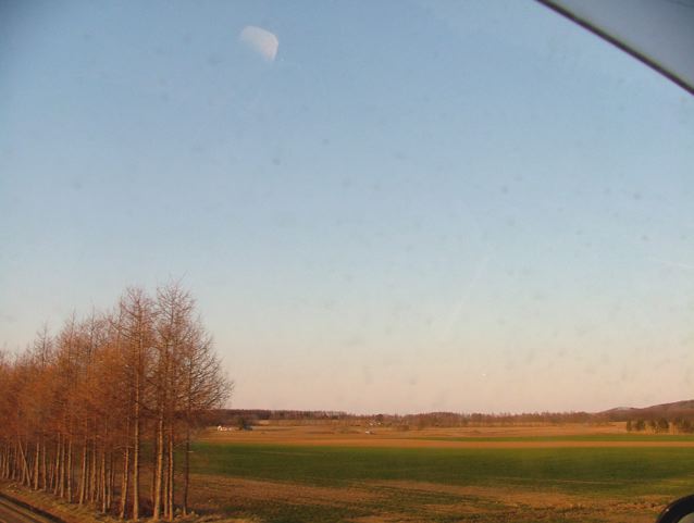 a0057237_19232377.jpg