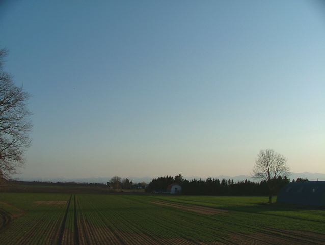 a0057237_1941810.jpg