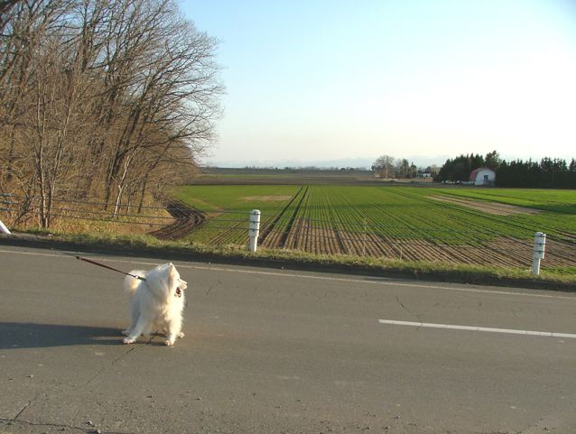 a0057237_1964158.jpg