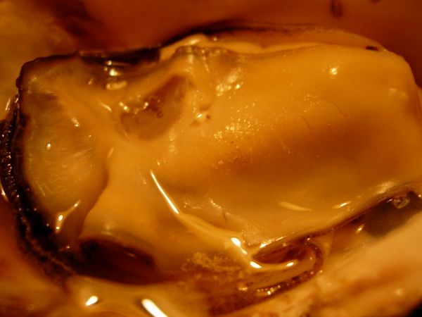 c0074444_192411.jpg