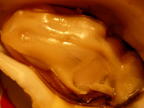 c0074444_1924170.jpg