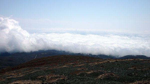 f0006648_22505720.jpg