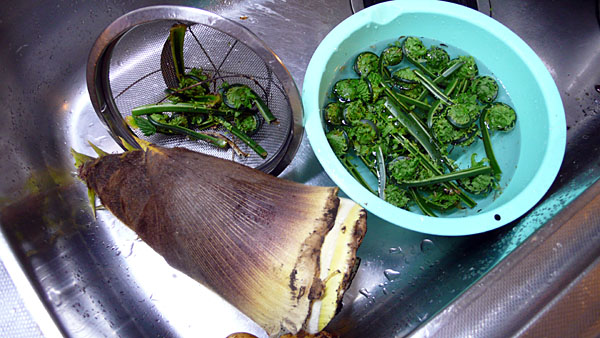 f0006648_2374754.jpg