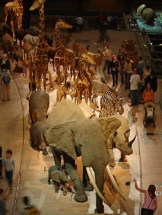 e0018350_9442777.jpg
