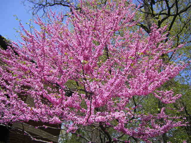 f0134855_12123138.jpg