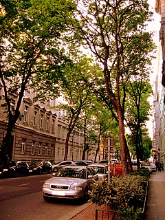 a0073357_18354685.jpg