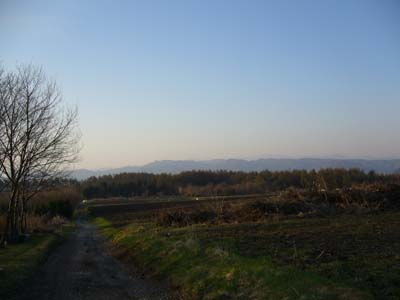 b0045357_1142958.jpg