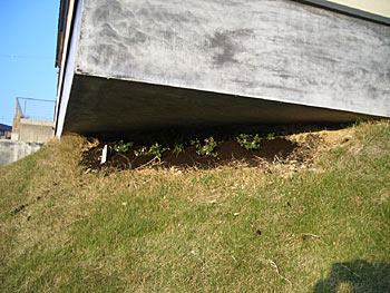 c0051759_2112307.jpg