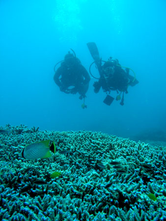 b0062363_21375631.jpg