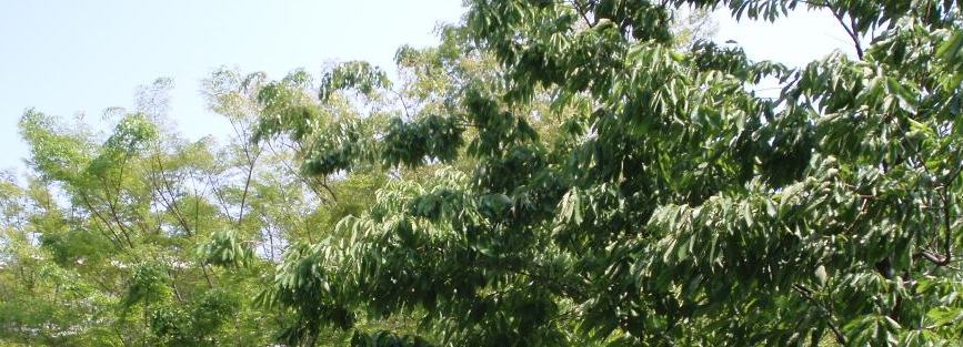 b0091164_14281111.jpg