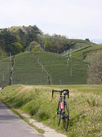 c0107075_2334286.jpg
