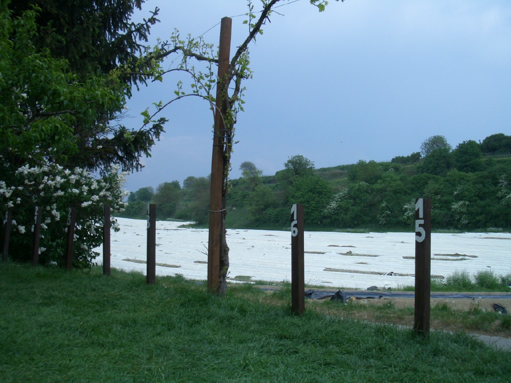 c0024980_18544027.jpg